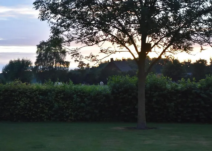 Kamp alanı Happy Home-slapen Onder De Sterren *