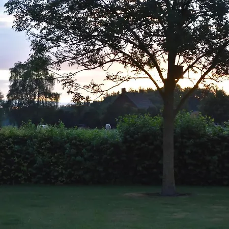 Camping Happy Home-slapen Onder De Sterren *